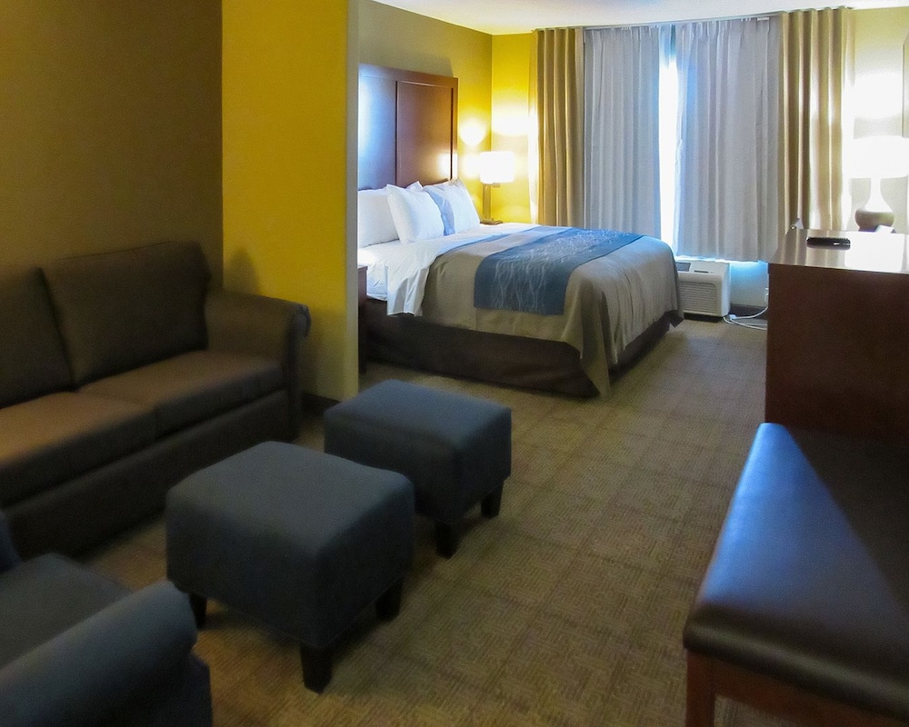 Comfort Inn Saint George North 13/30