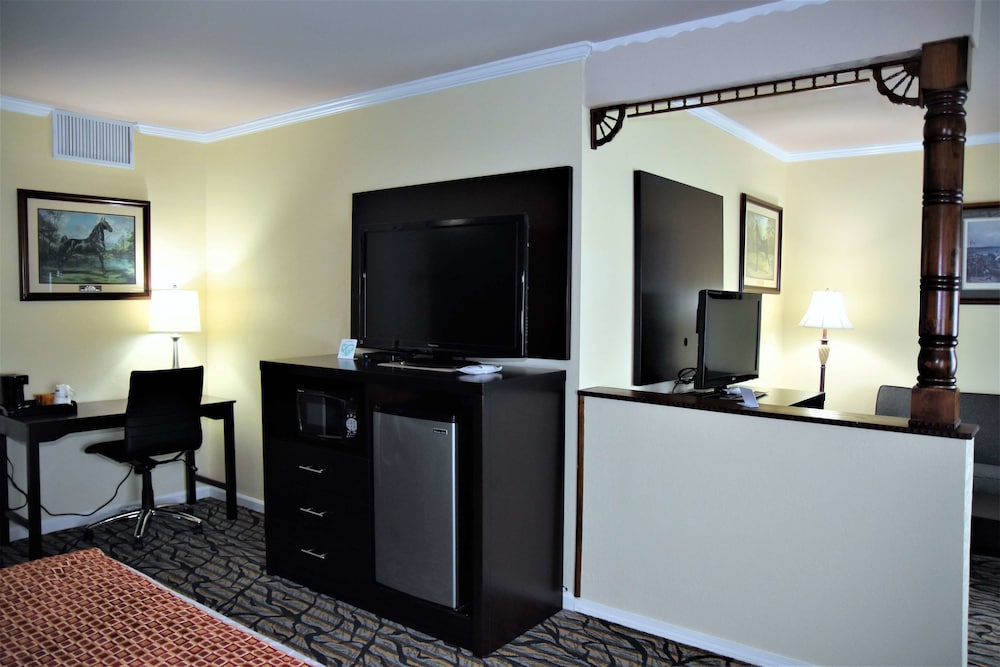 Best Western Spring Hill Inn & Suites 3/32