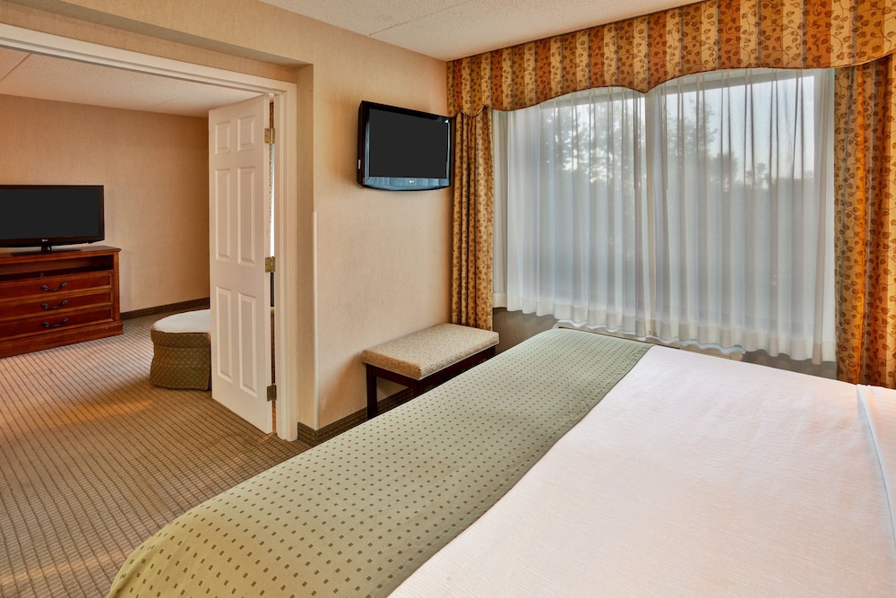 Holiday Inn Hotel Suites Ann Arbor Univ Michigan 15/73