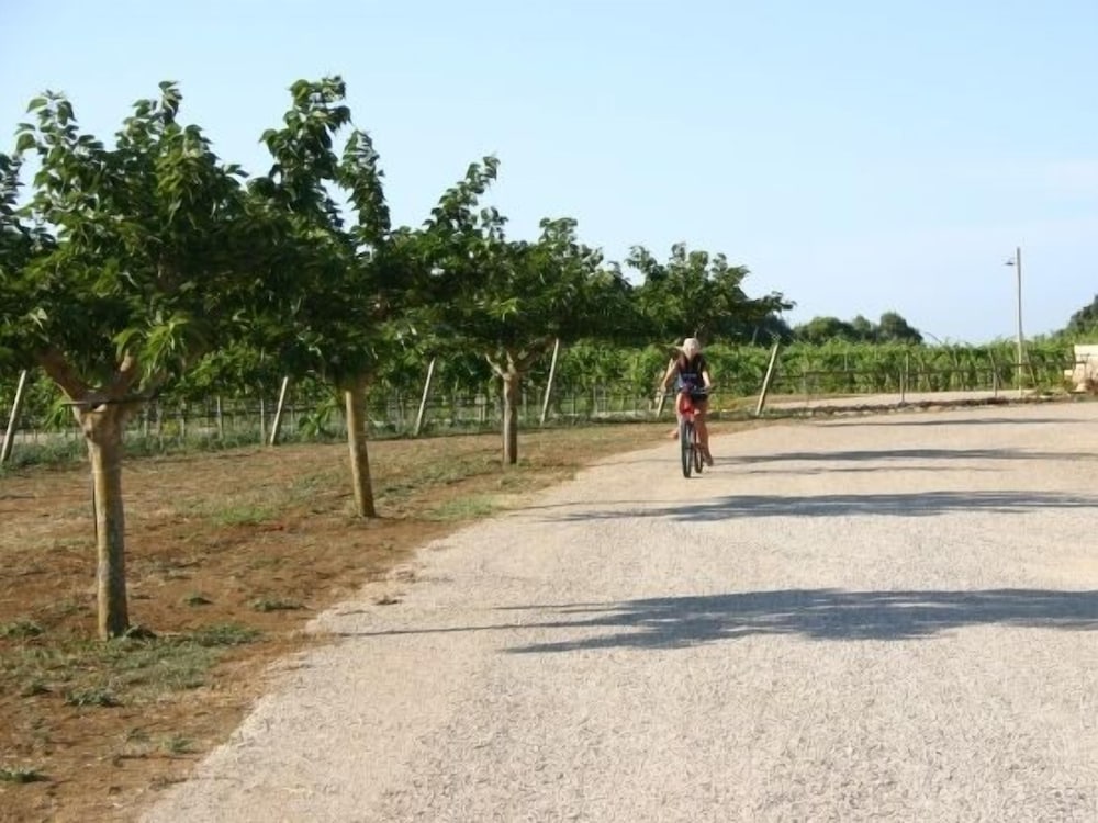 Tenuta Vigna Corallo 26/50
