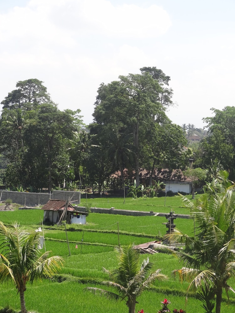 Hibiscus Cottages 50/61