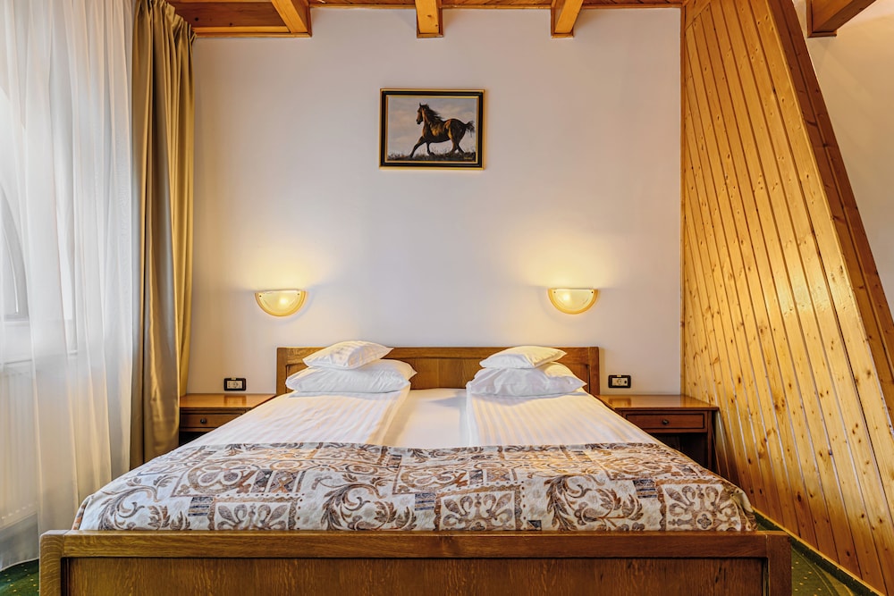 Hotel Casa Viorel 13/50