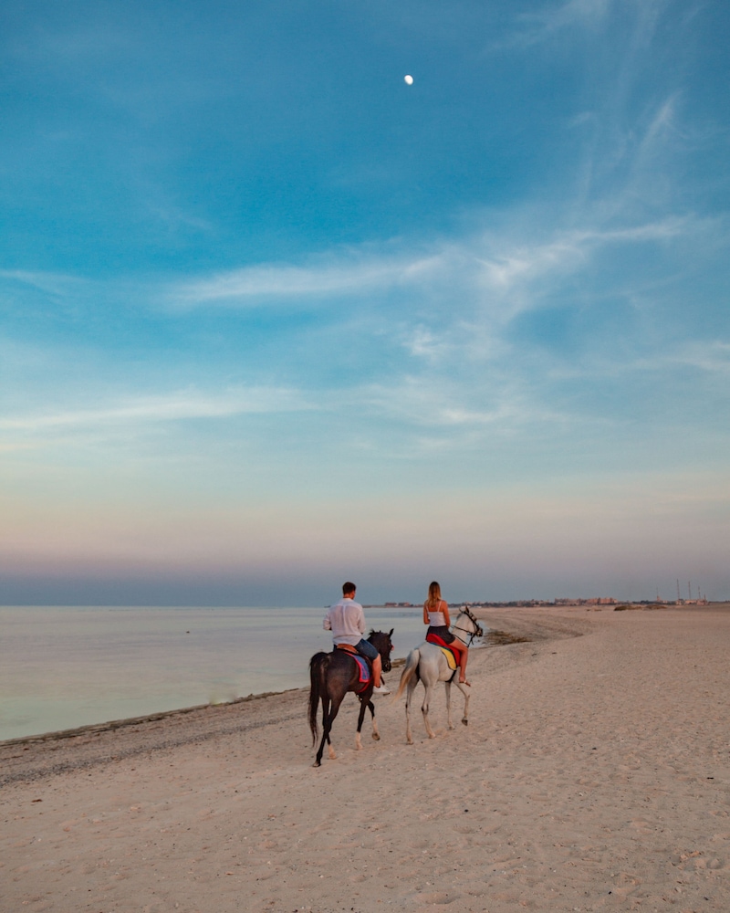 Novotel Marsa Alam Beach Resort 61/66