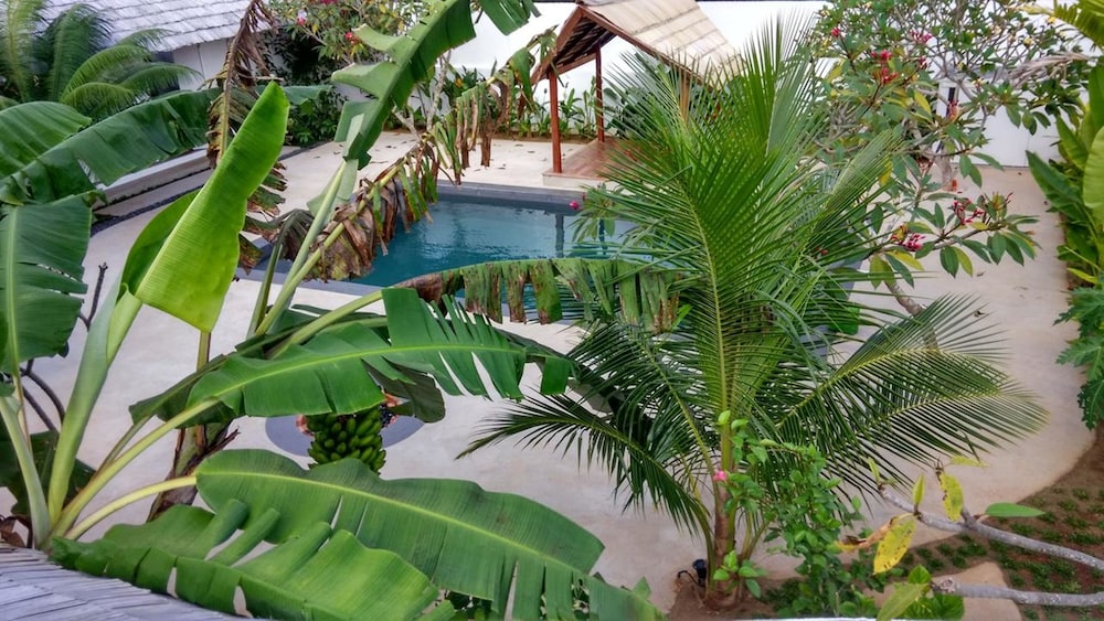 Villa Kalachuchi B&B 50/56