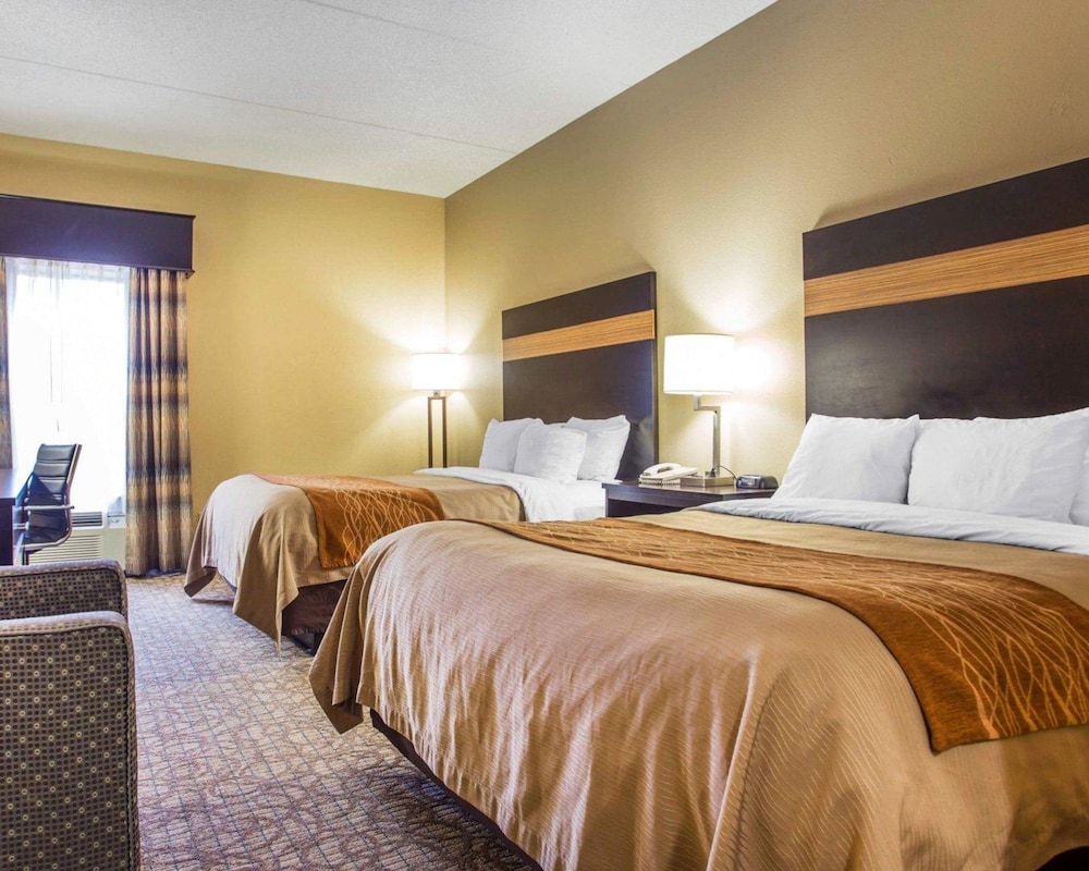 Comfort Inn Suites At Stone Mountain 15/39