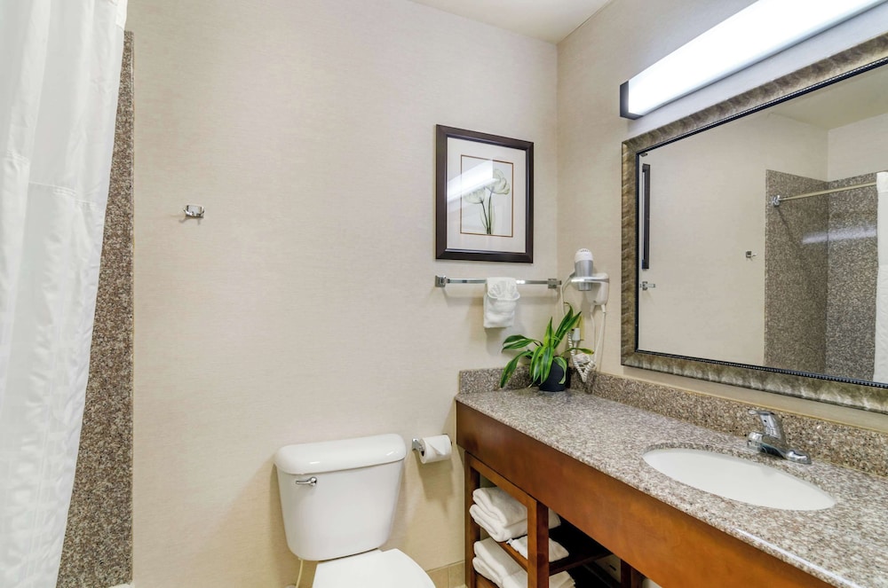 Room, King Bed, Accessible, Comfort Inn And Suites 3/3