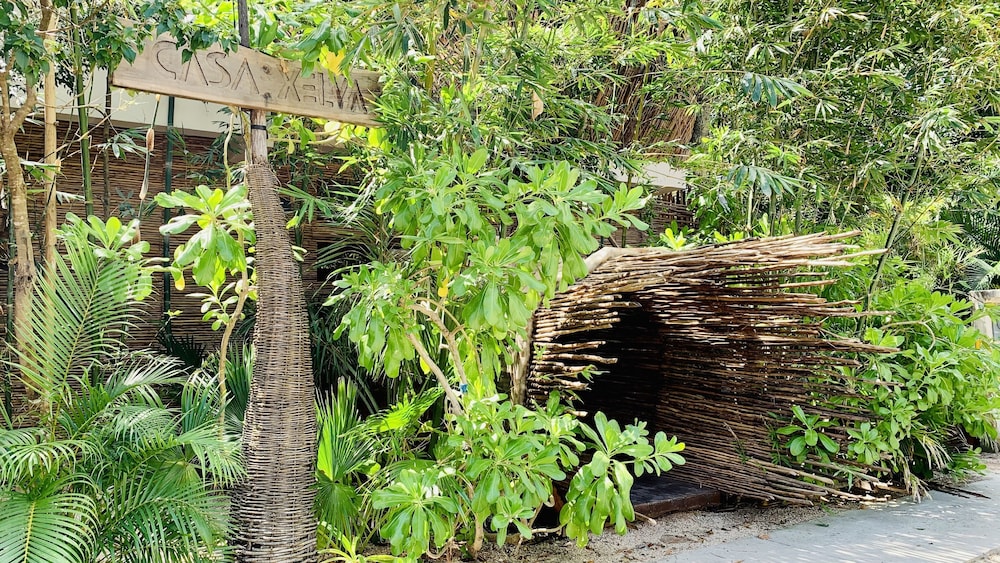 Orchid House Tulum 37/50