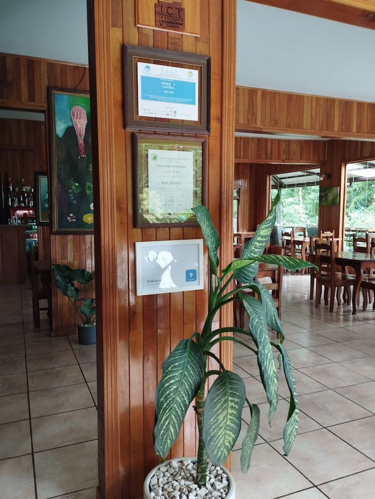 Cala Lodge 16/86