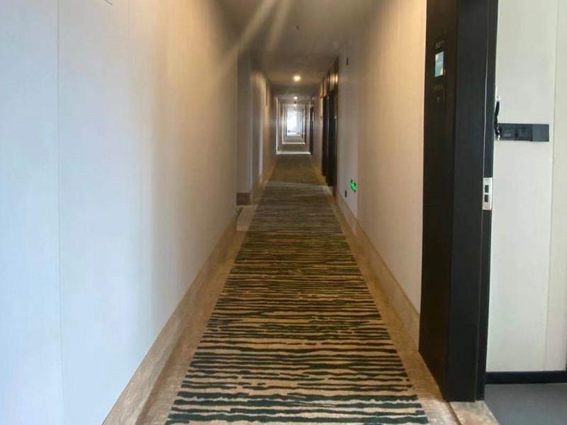 GreenTree Inn Shanghai Minhang Jindu Road Express Hotel 16/29