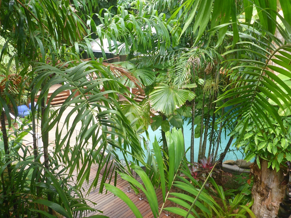 Palm Cove Tropic Apartments 23/26