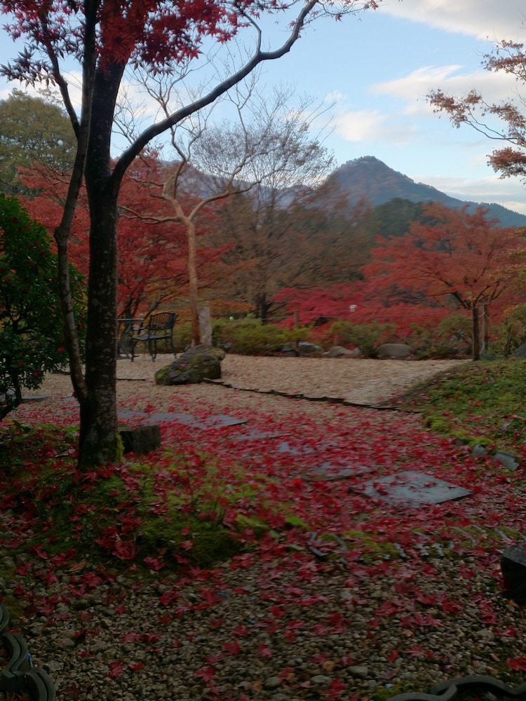 Nikko Hoshinoyado 35/46