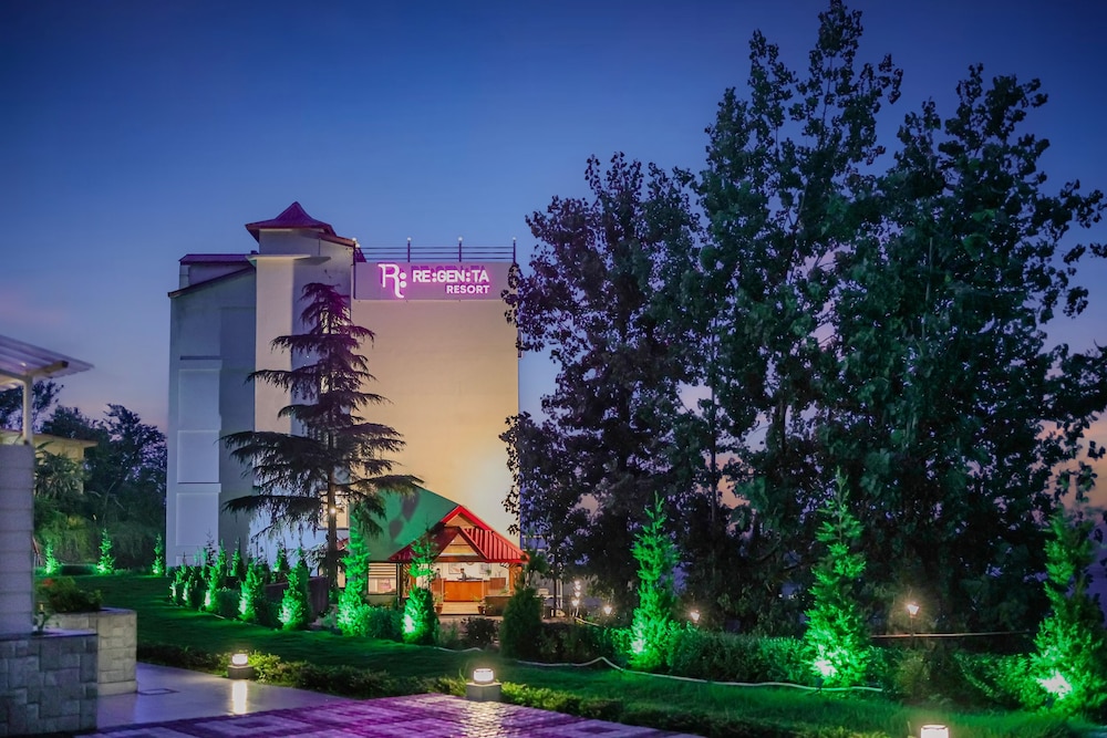 Regenta Resort MARS Valley View 5/50