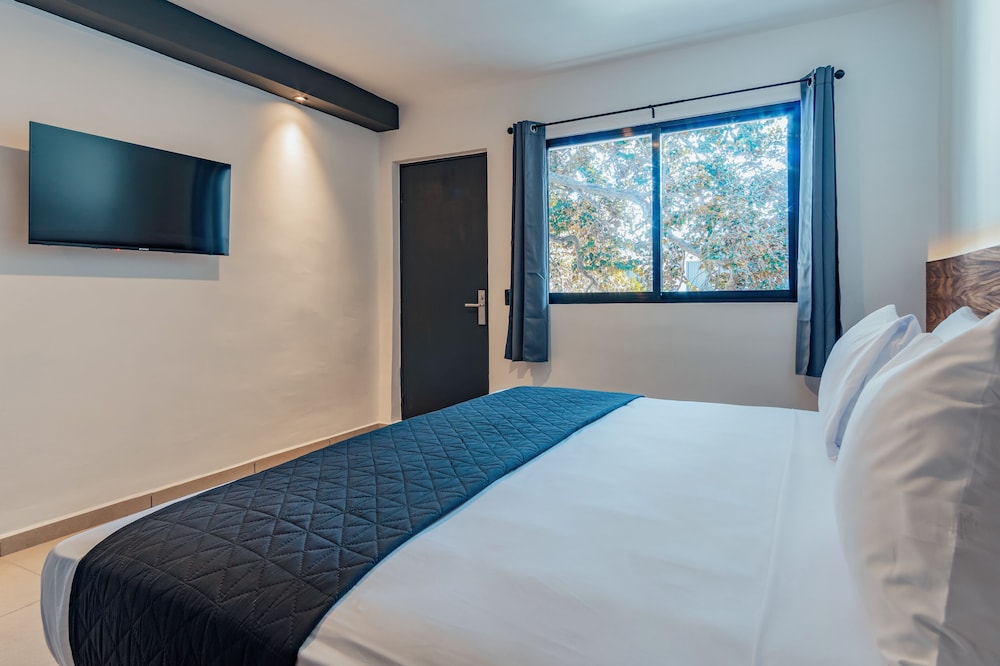 Hotel Mody 24/37