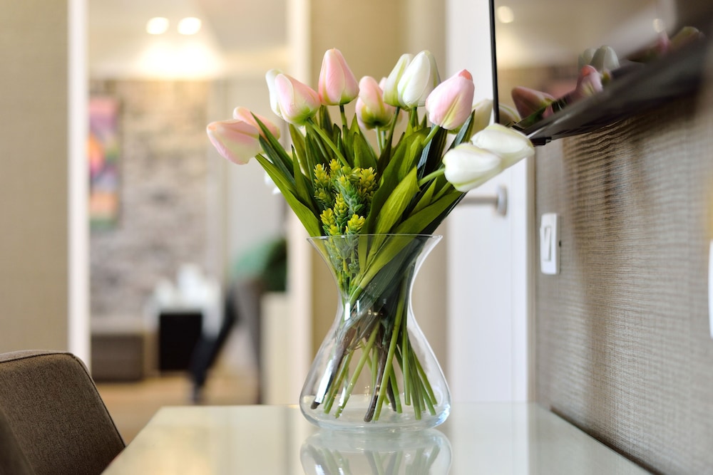 Belgrade Inn Garni 36/50