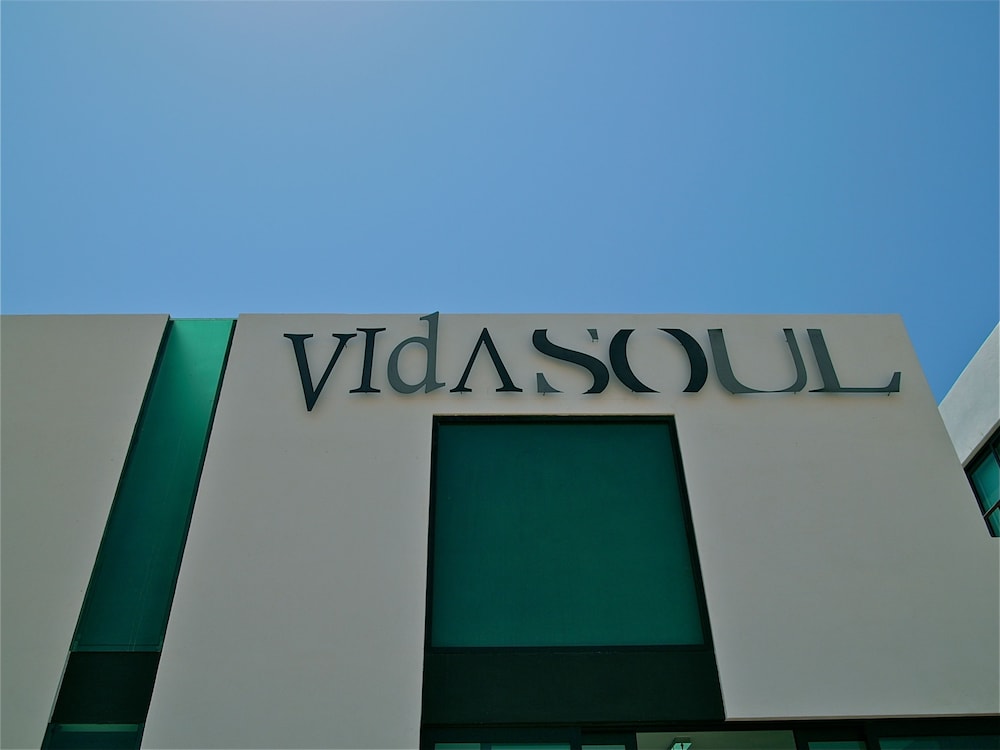 Vidasoul hotel 2/50
