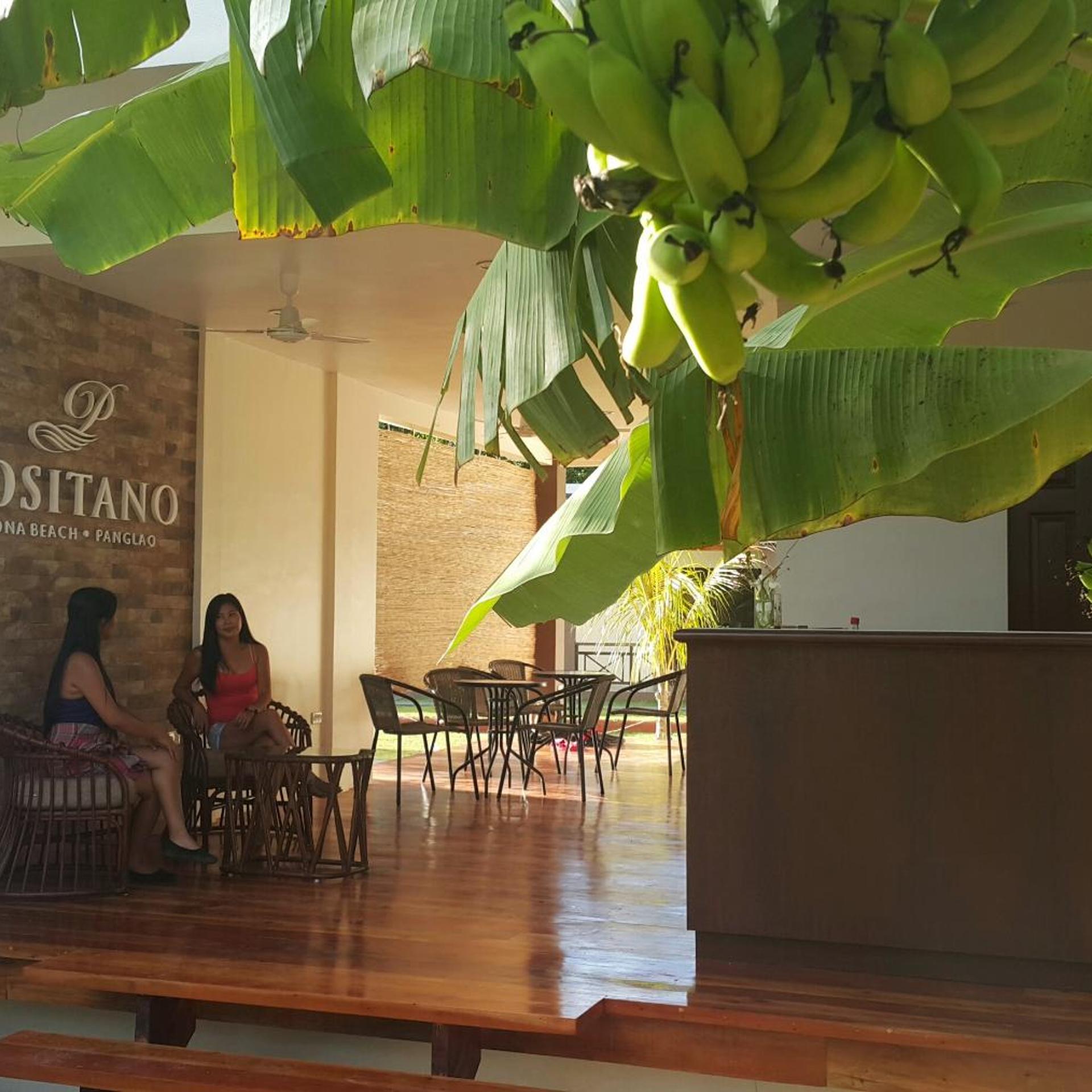 Positano Alona Beach Panglao 34/50