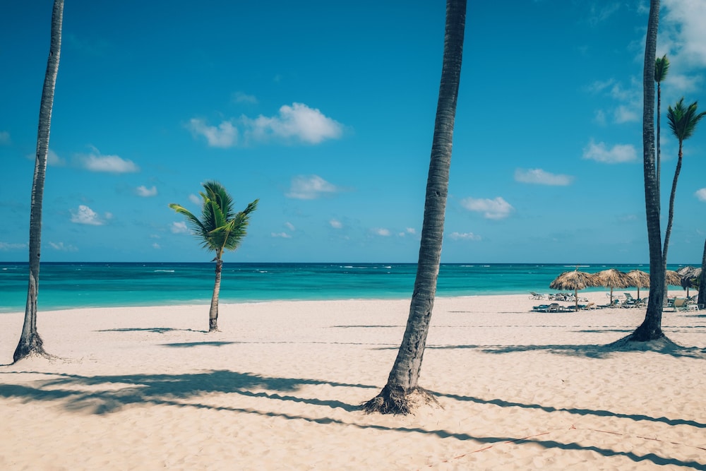 Iberostar Selection Bavaro Suites 47/49