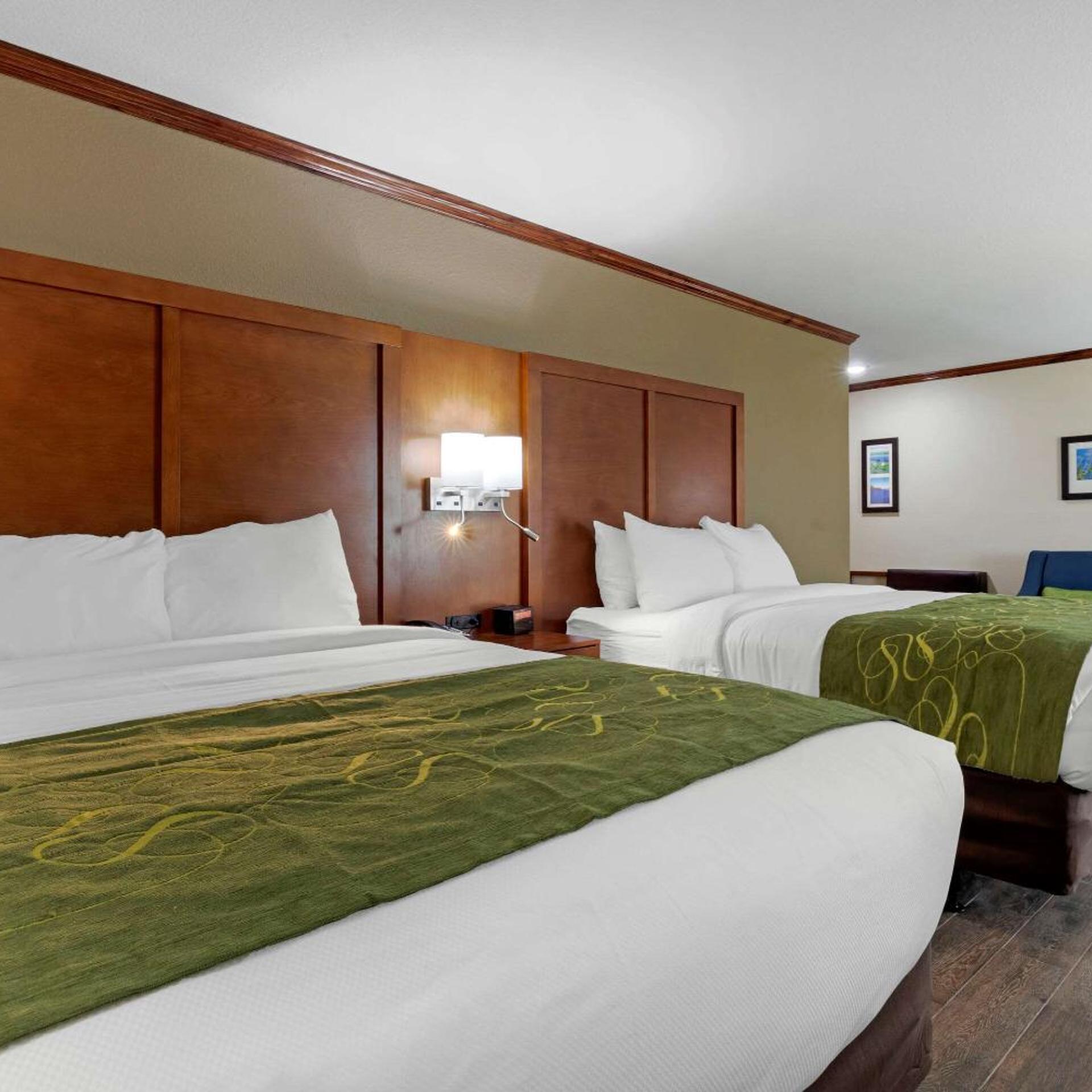 Efficiency, Suite, 2 Queen Beds, Sofa, Accessible