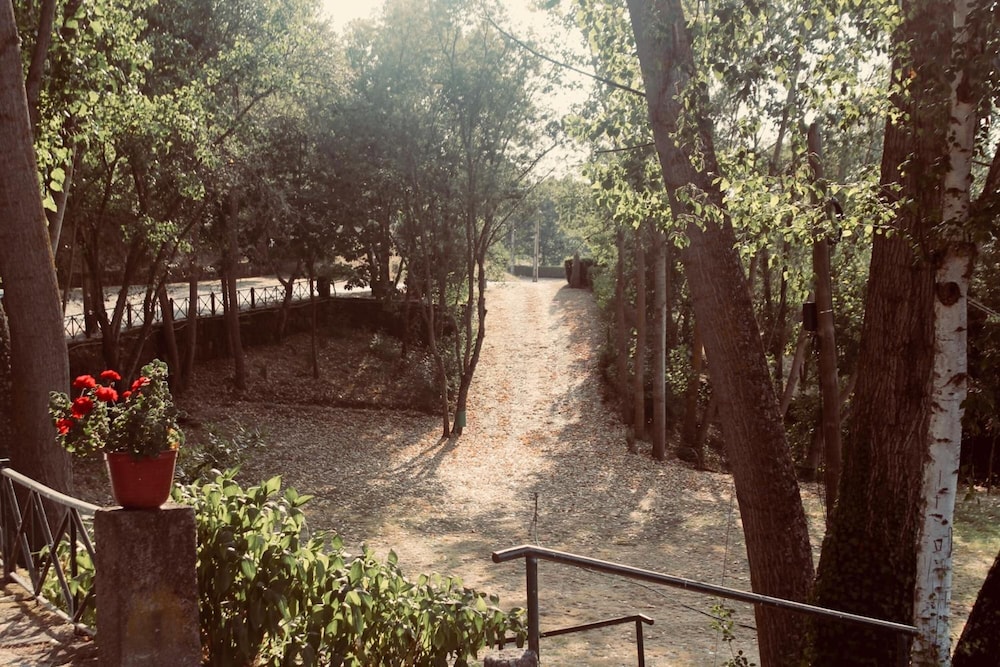 surroundings
