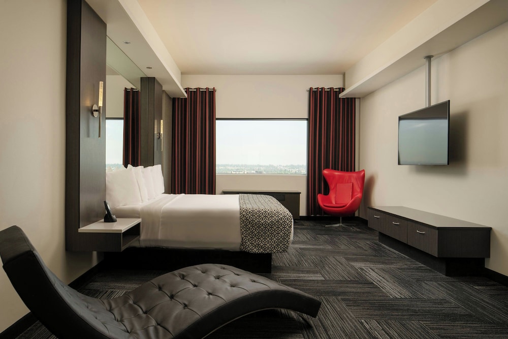 Room, Single, King Bed, Sofa