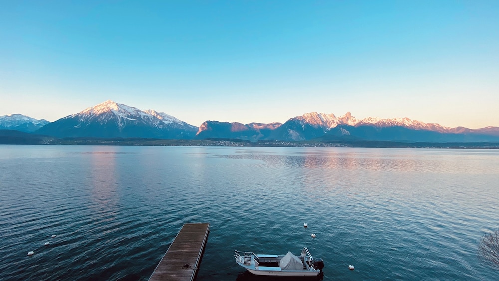Hotel Restaurant Bellevue Au Lac 44/50