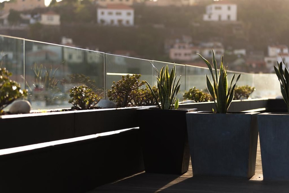 Arts In Penthouse Apartments Til Sol 6/30