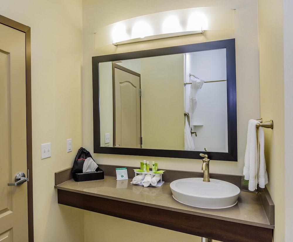 Holiday Inn Express Cheektowaga North East 20/46