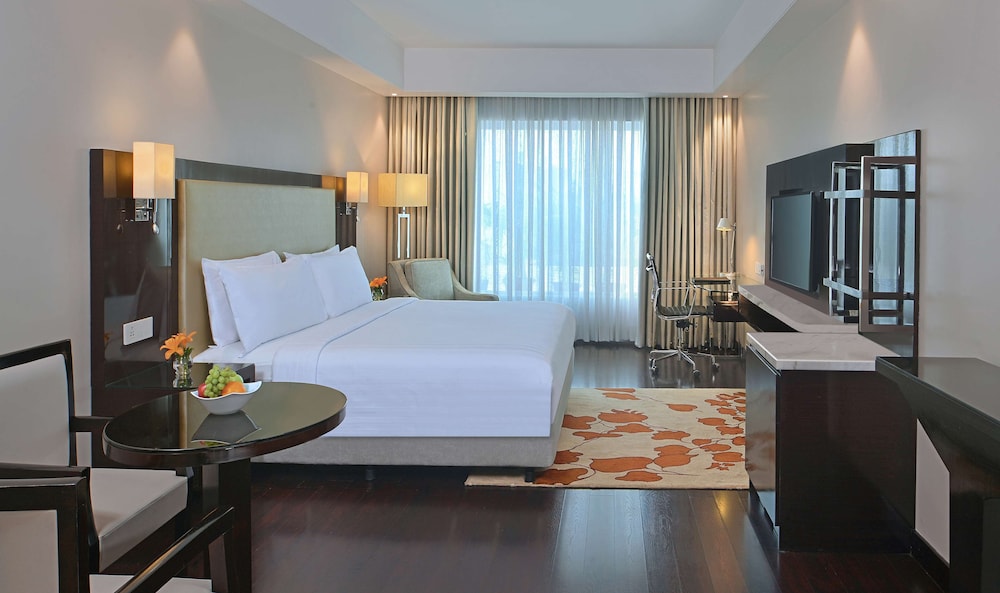 Radisson Hotel Agra 15/68