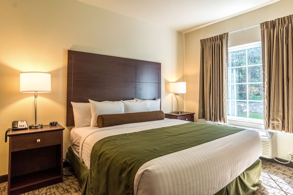 جناح بسرير كينج مع أريكة لذوي الإعاقة
