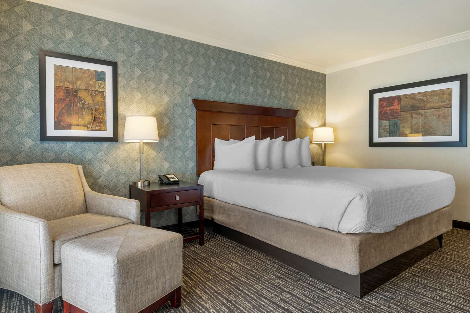 Best Western Plus Carriage Inn 22/78