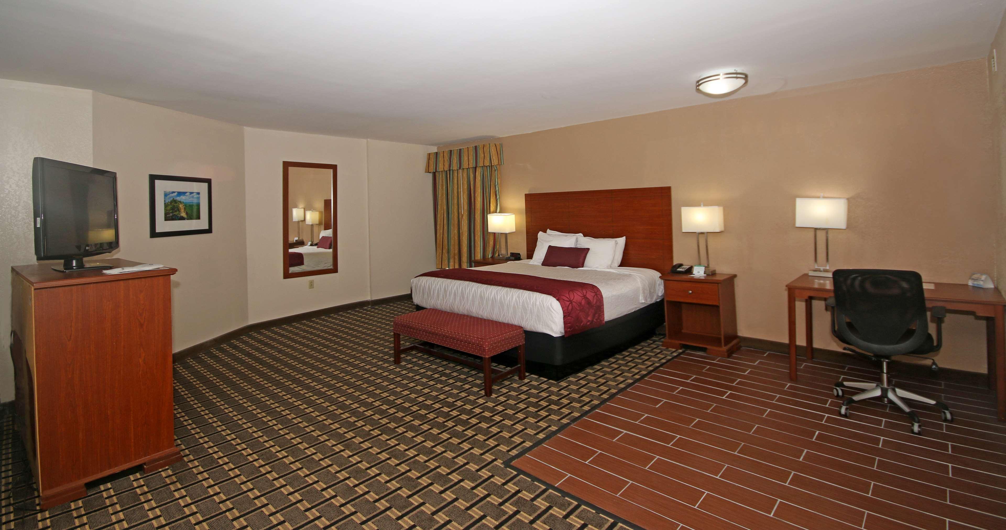Suite, King Bed