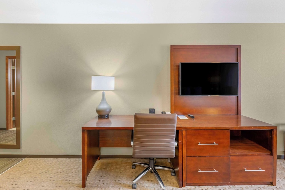 Comfort Suites Carlsbad 39/48