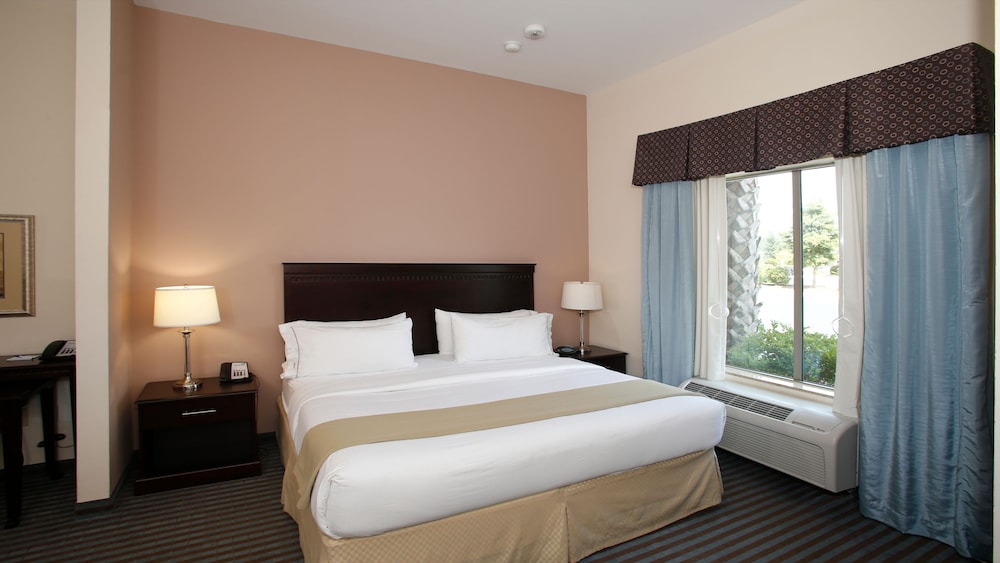 Holiday Inn Express Leland - Wilmington Area 21/71