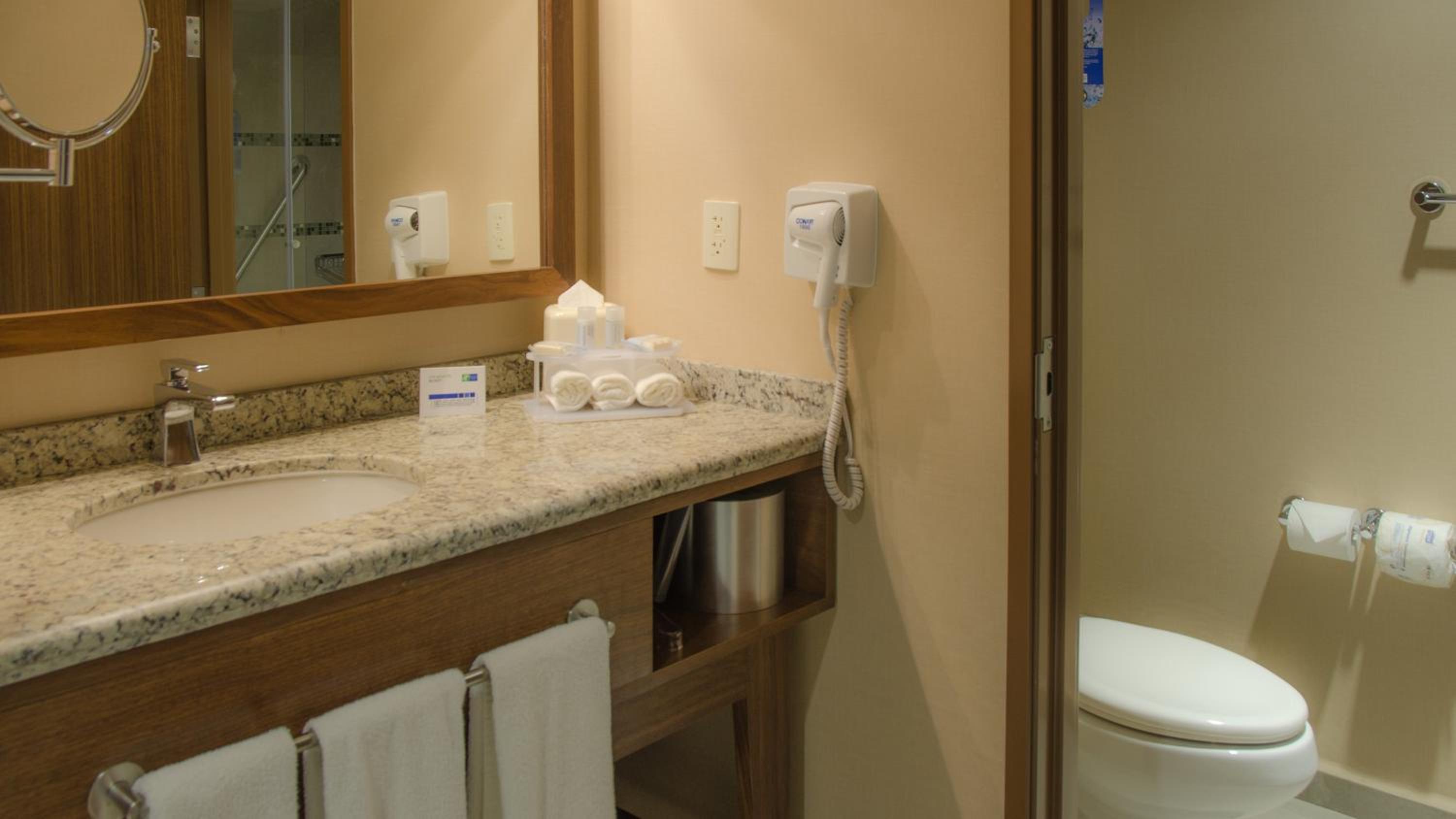 Standard, Double Bed, Holiday Inn Express and Suites Celaya 2/5