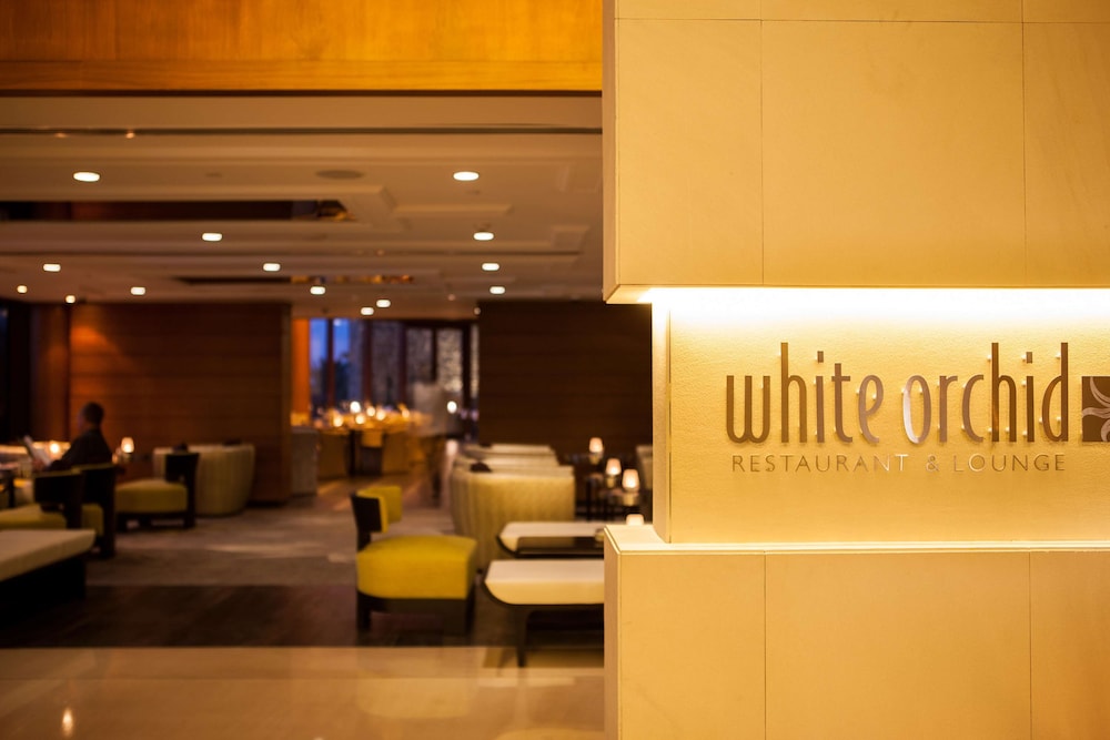 JA The Resort -JA Lake View Hotel, Dubai 11/66