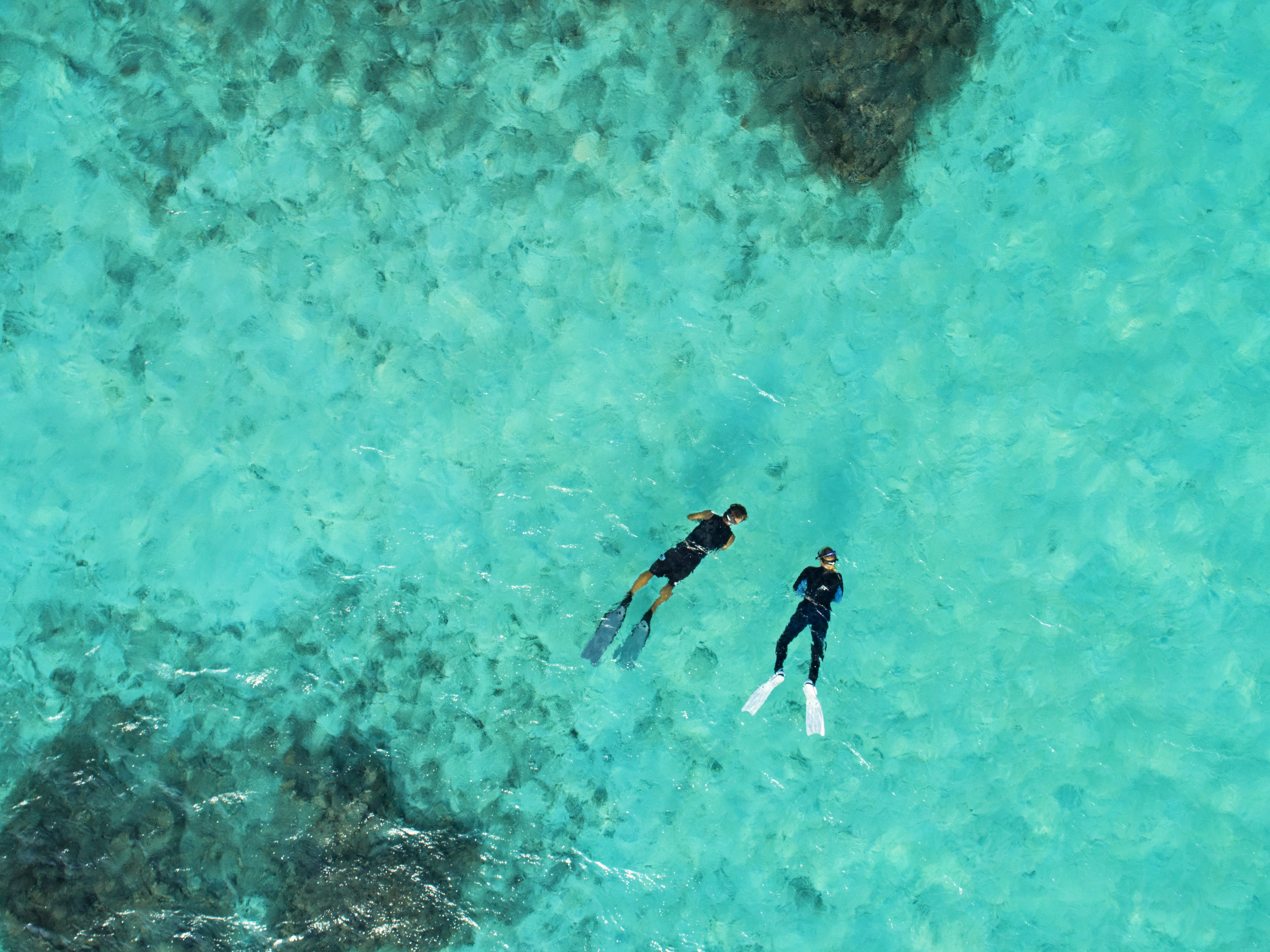 Taj Coral Reef Resort and Spa 59/85