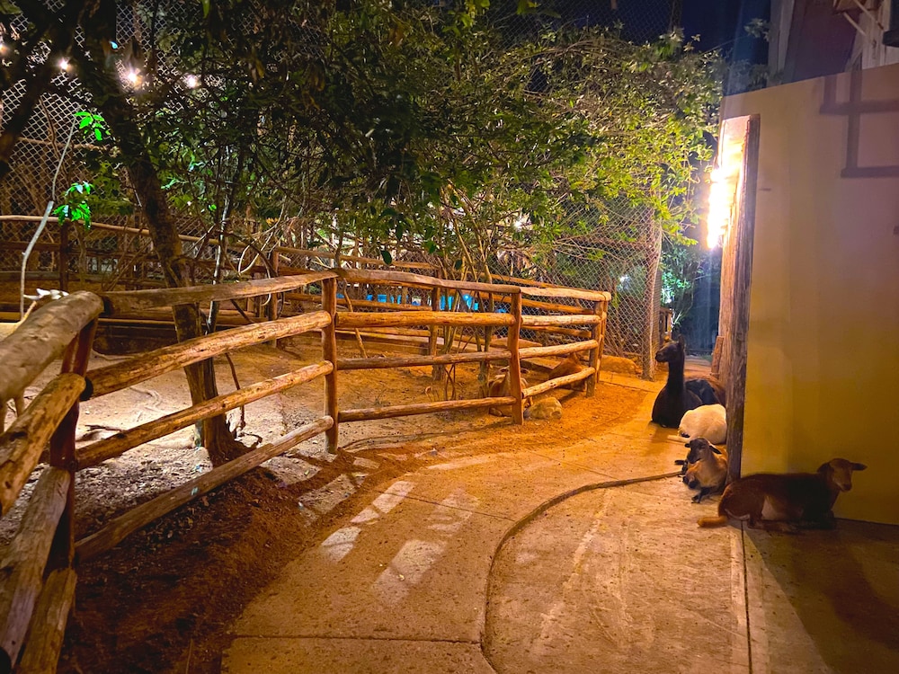 Palm Valley Cabins 20/50