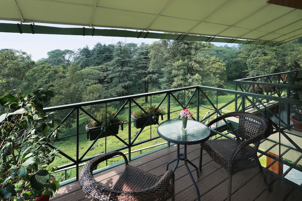 Lamrin Norwood Green Palampur 27/50
