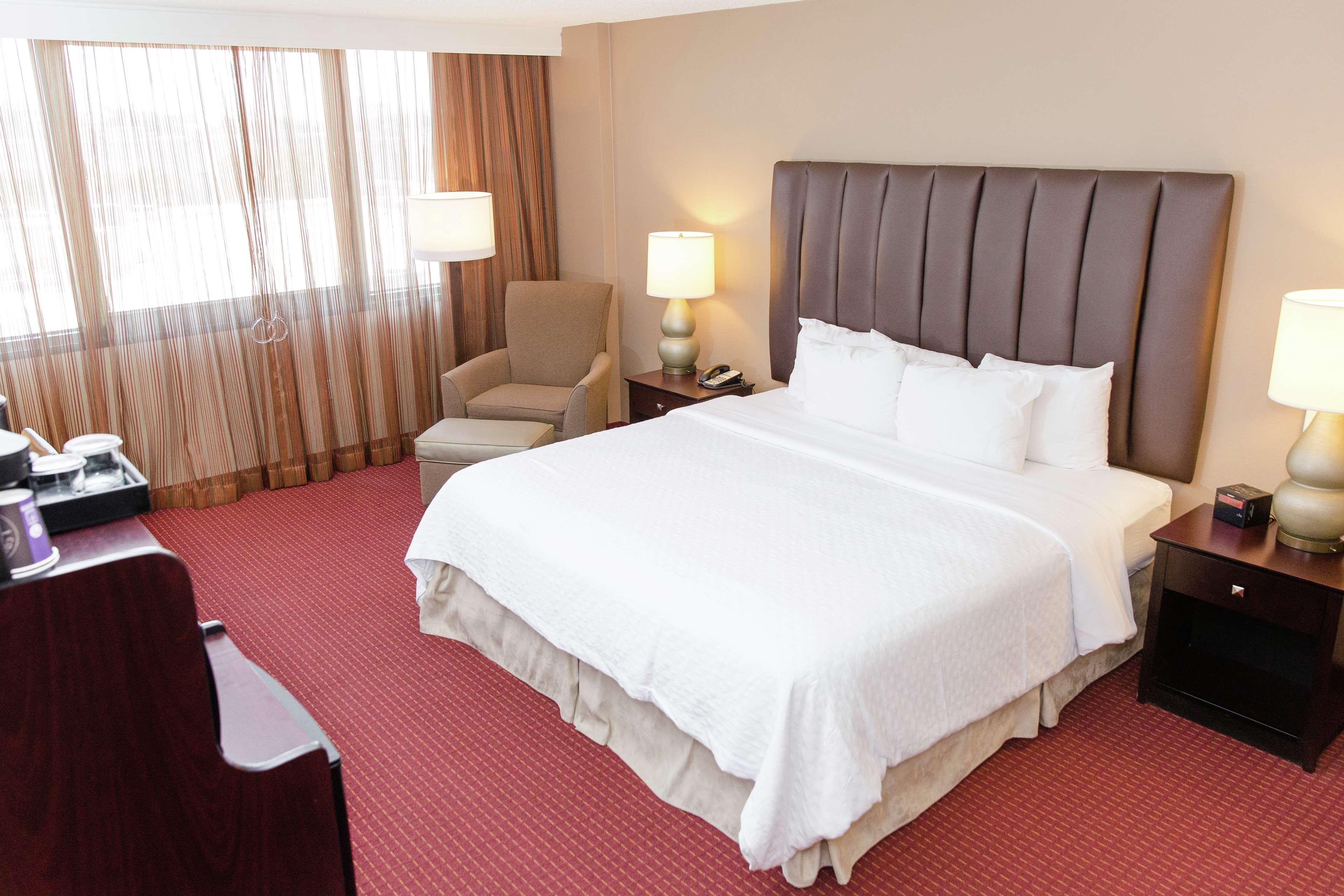 1 BEDROOM, STUDIO, KING BED