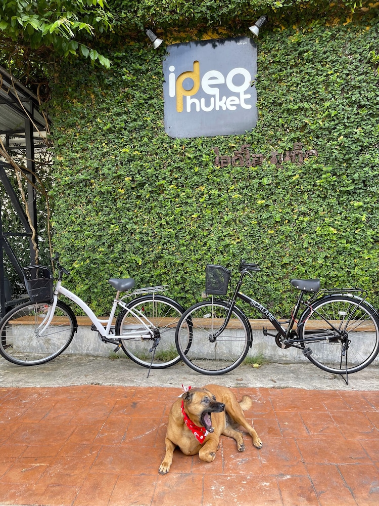 Ideo Phuket Hotel 24/44