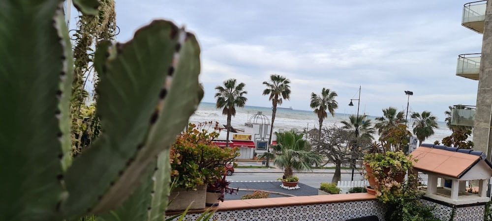 Hostal Guadalupe 45/50