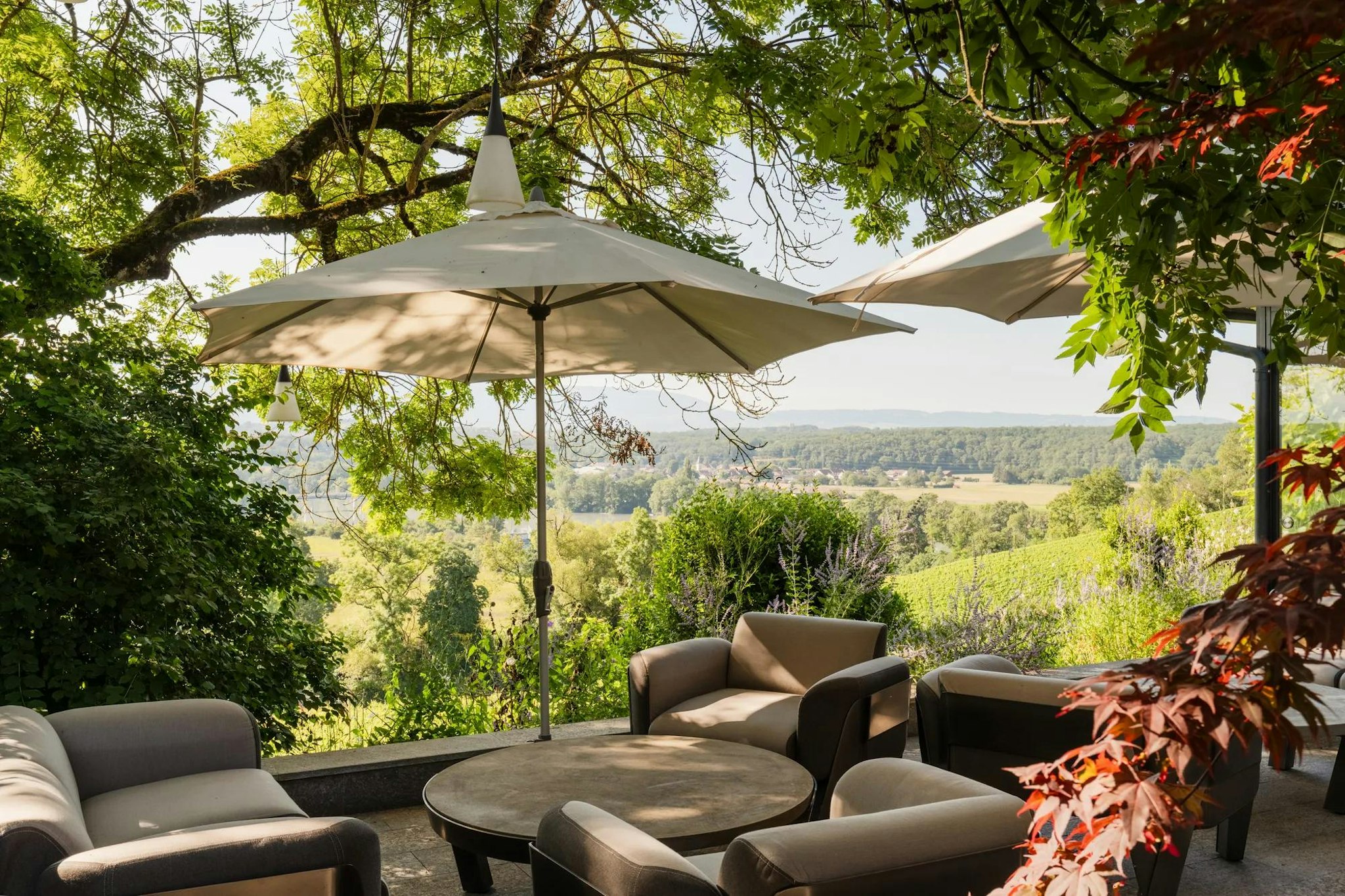 DOMAINE DE CHATEAUVIEUX 25/26