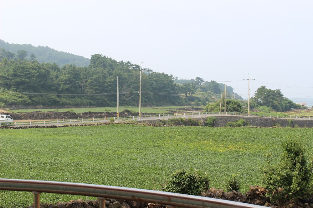 Jeju Feel House 37/50