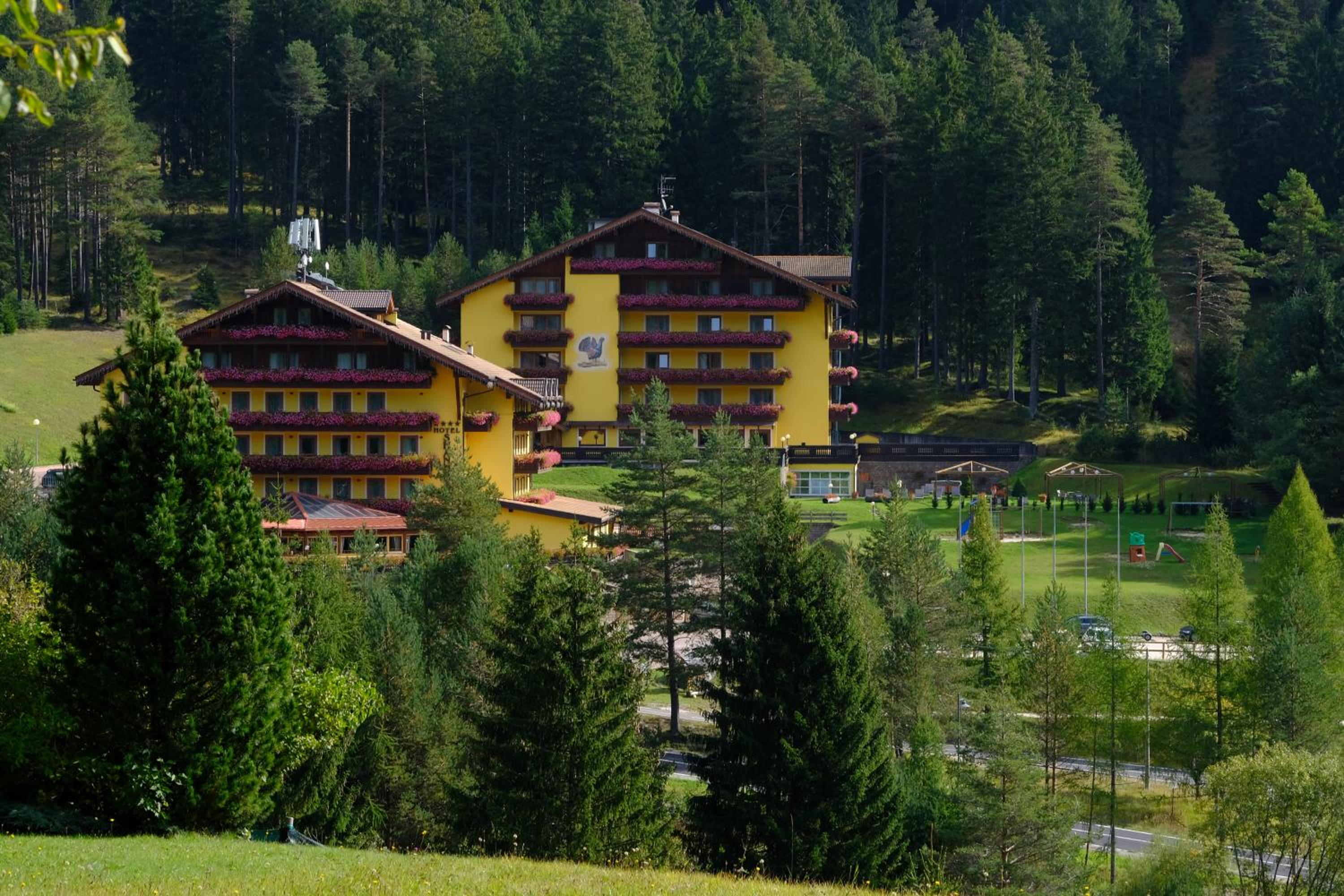 Family And Wellness Hotel Shandranj 4/50