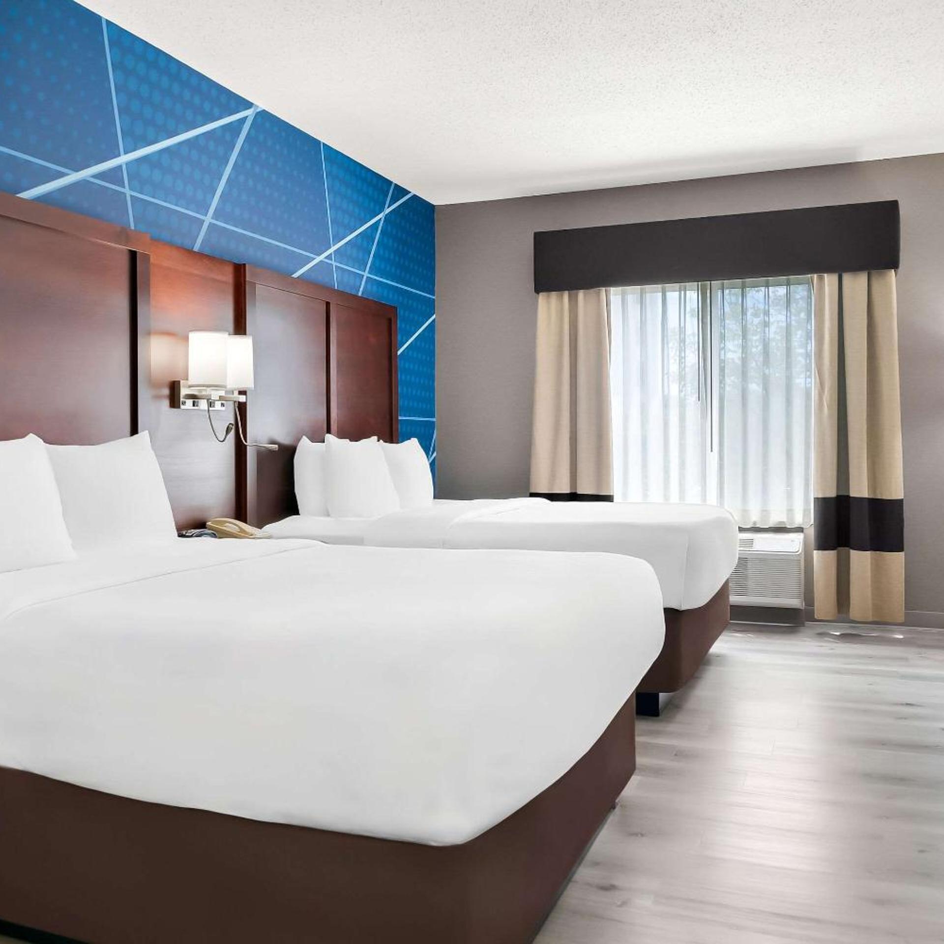 Suite, Queen Bed