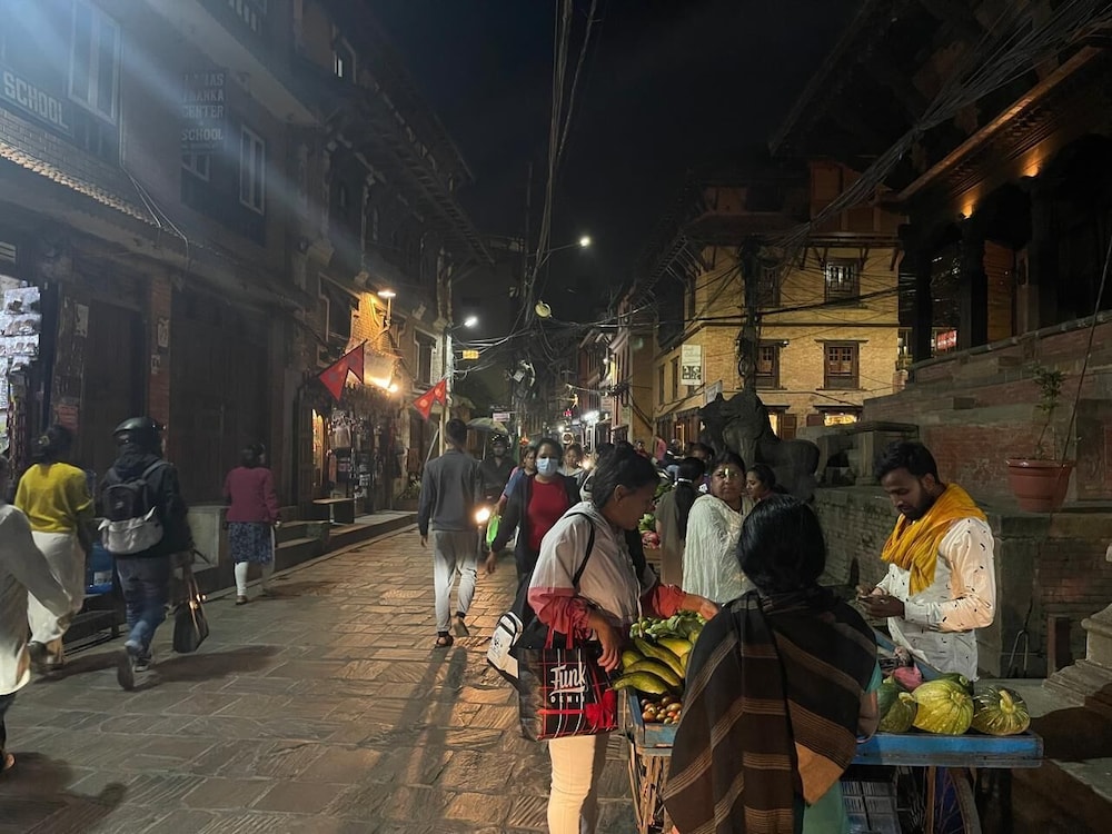 Hotel Patan House 36/50