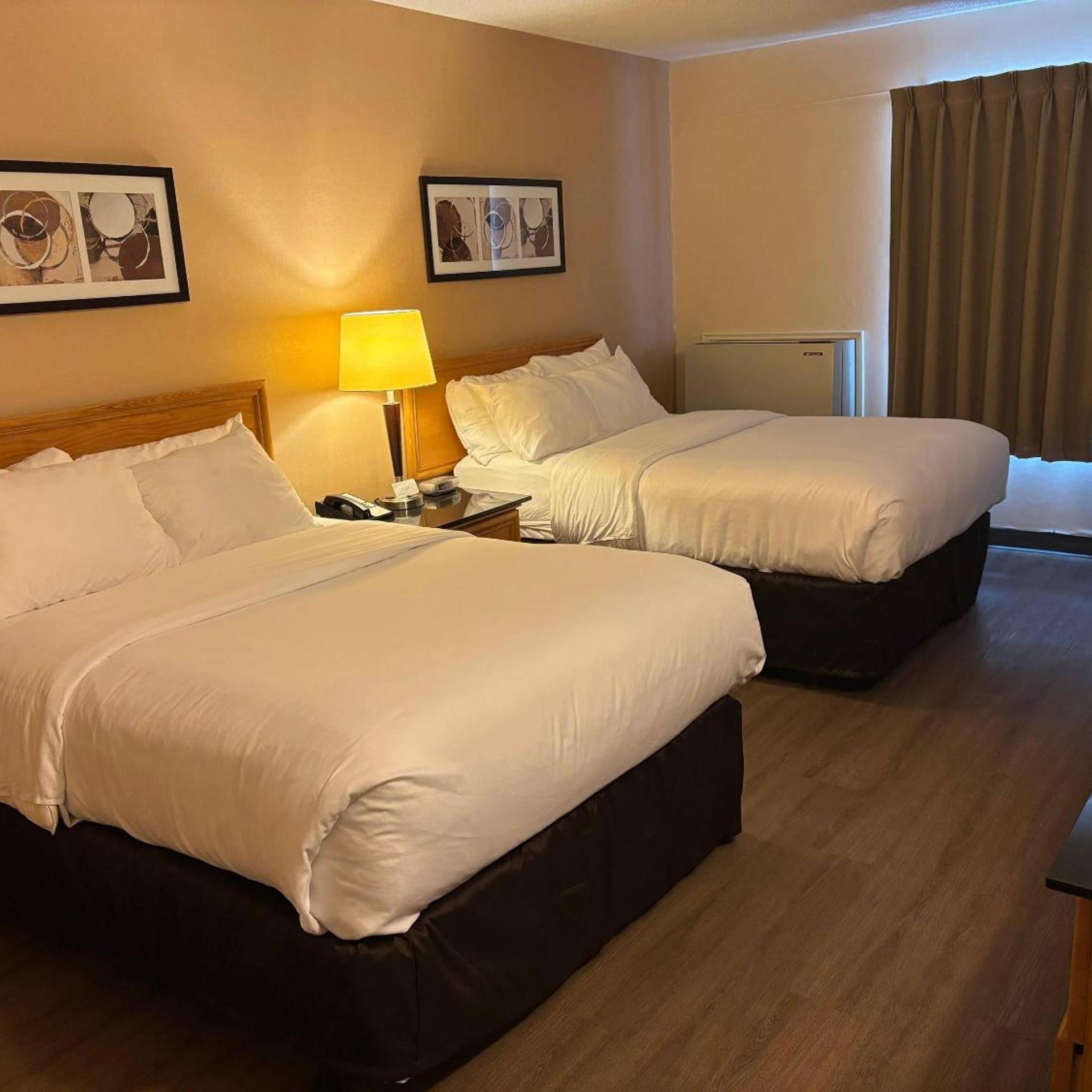 Deluxe, King Bed, 2 Queen Beds, Ground Floor