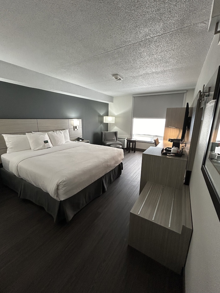 Upgrade, King Bed, Ground Floor