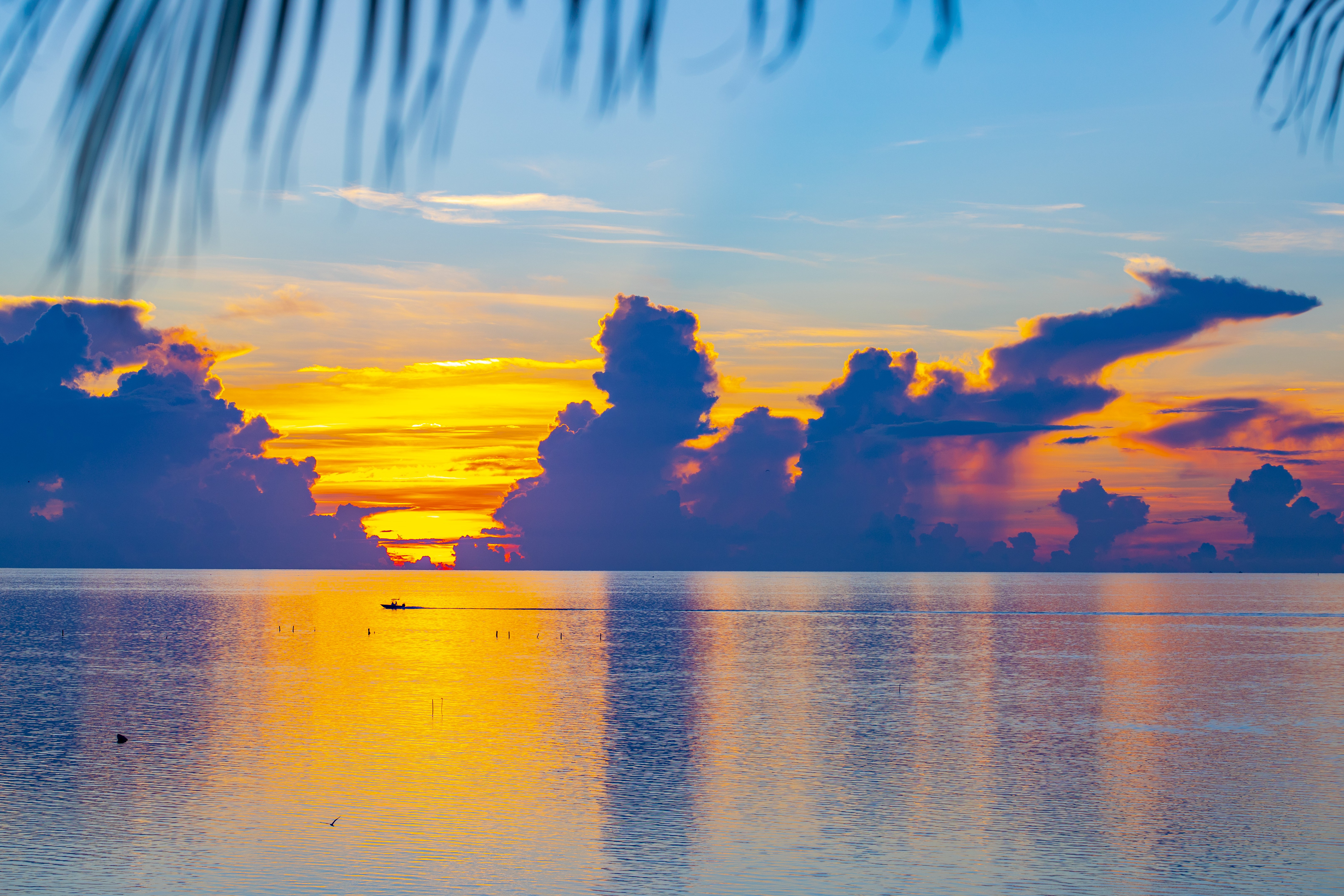 Amara Cay Resort 74/77