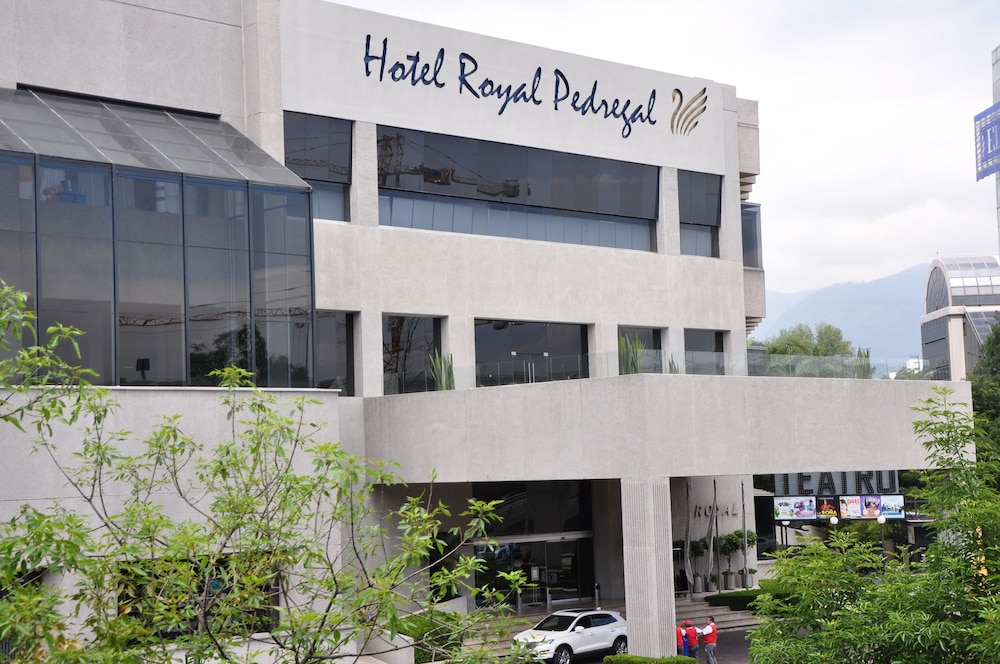 Royal Pedregal Hotel 7/47